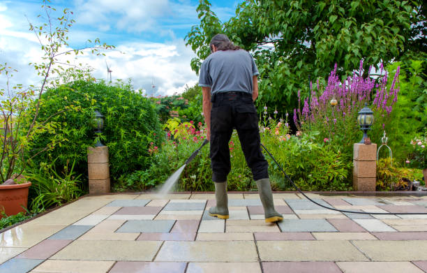 Best Animal Enclosure Cleaning  in Bridgeville, PA